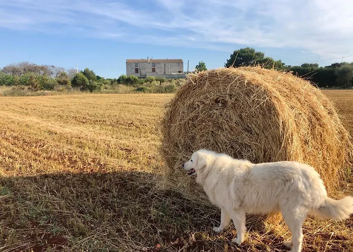 Agriturismo La Palascia Masseria Agreste