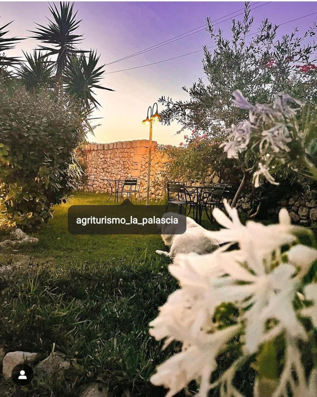 Farm stay Agriturismo La Palascia