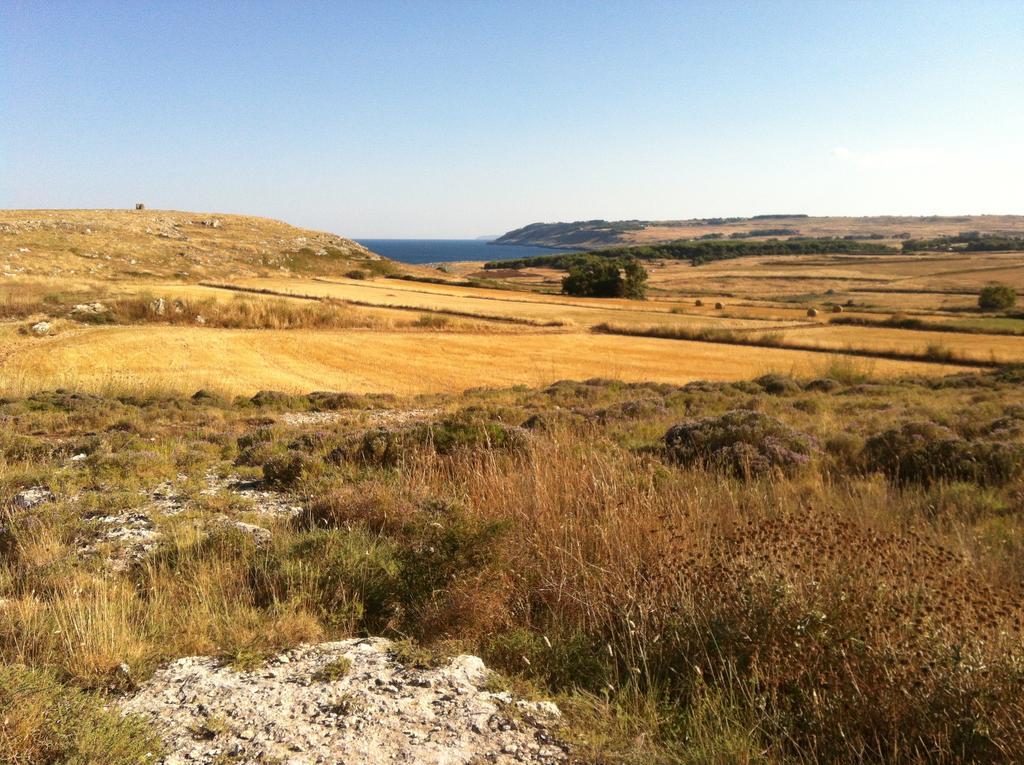 Agriturismo La Palascia Farm stay *