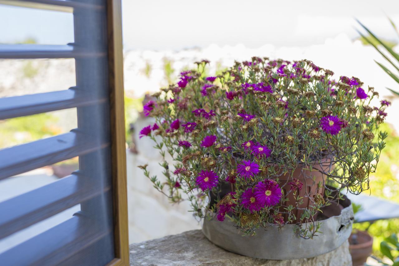 Agriturismo La Palascia Farm stay *