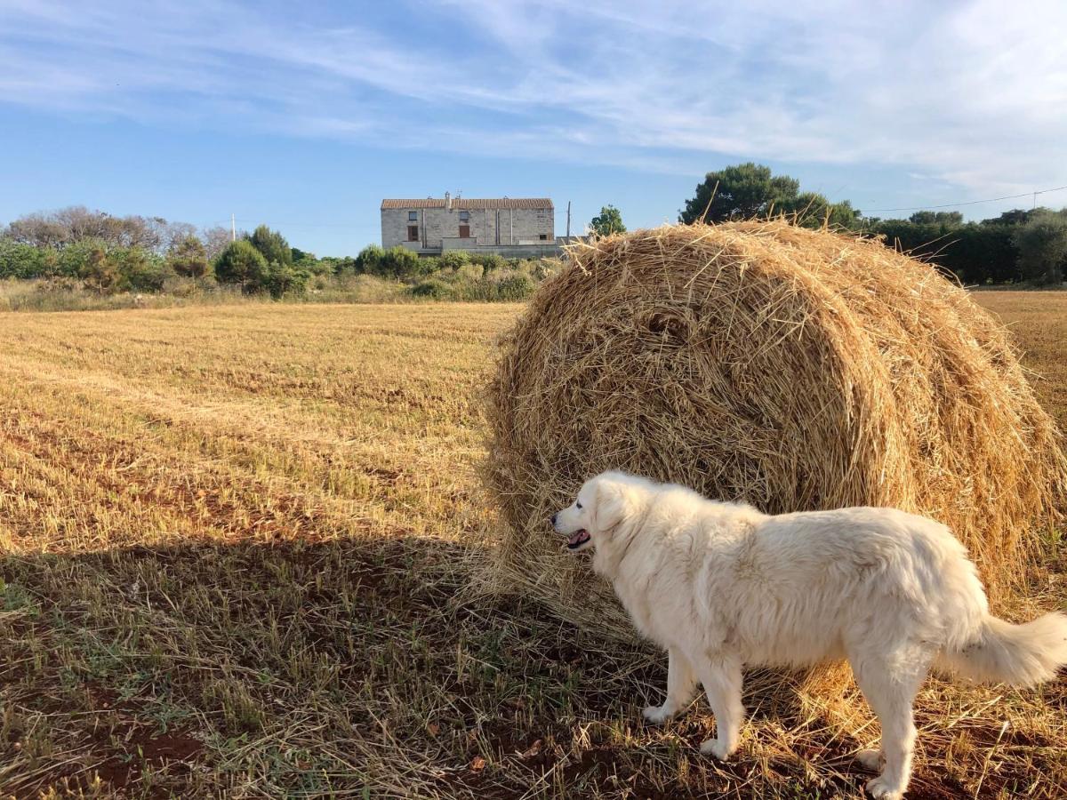Farm stay Agriturismo La Palascia *